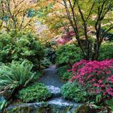 Bellevue Botanical Garden