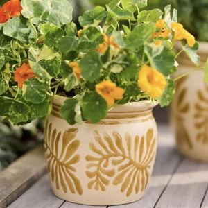 Honey Pot Ceramic Planter