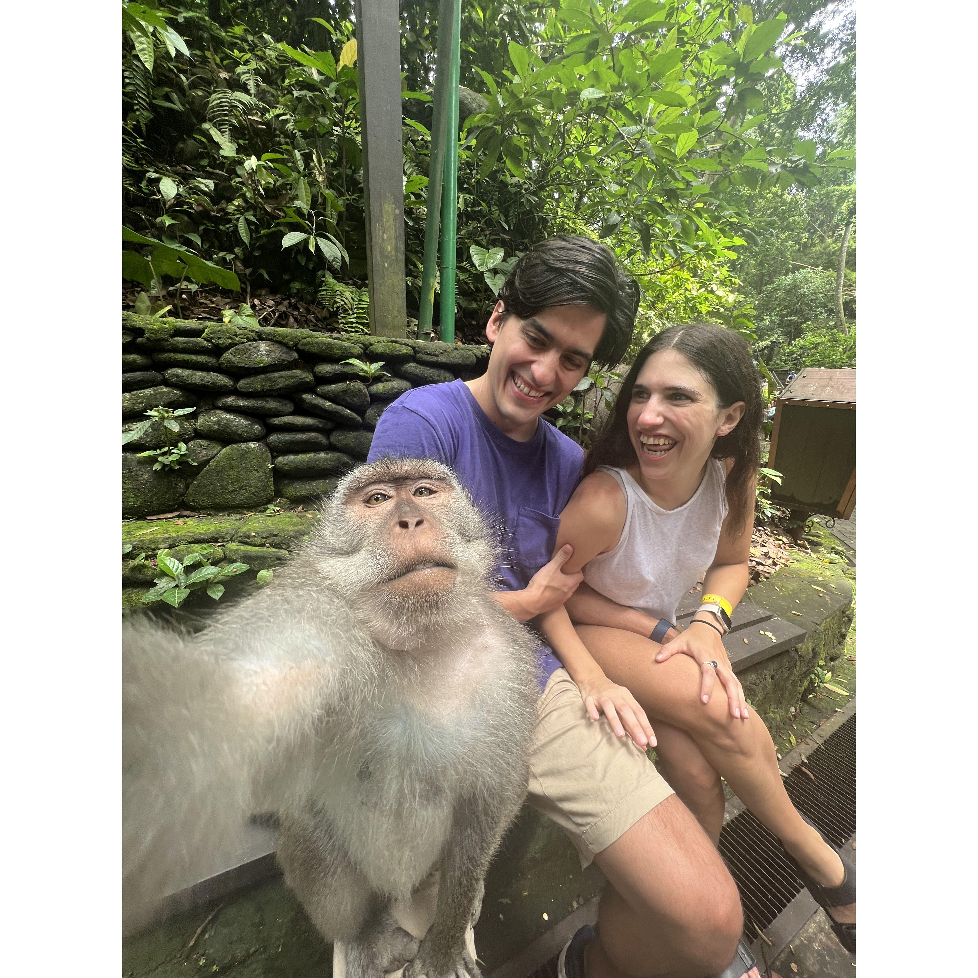 We travelled to Bali