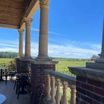 South River Vineyard