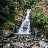 El Yunque National Forest