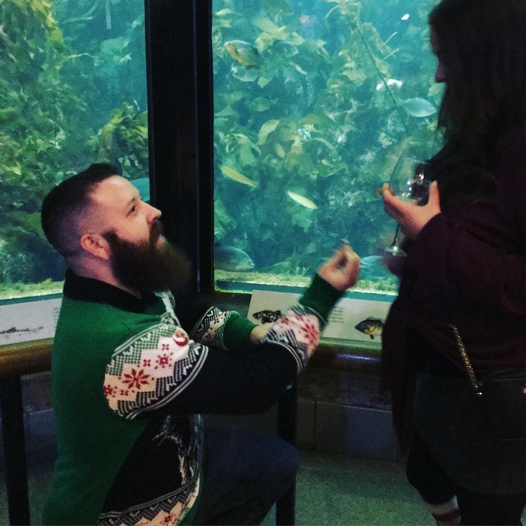 The Proposal