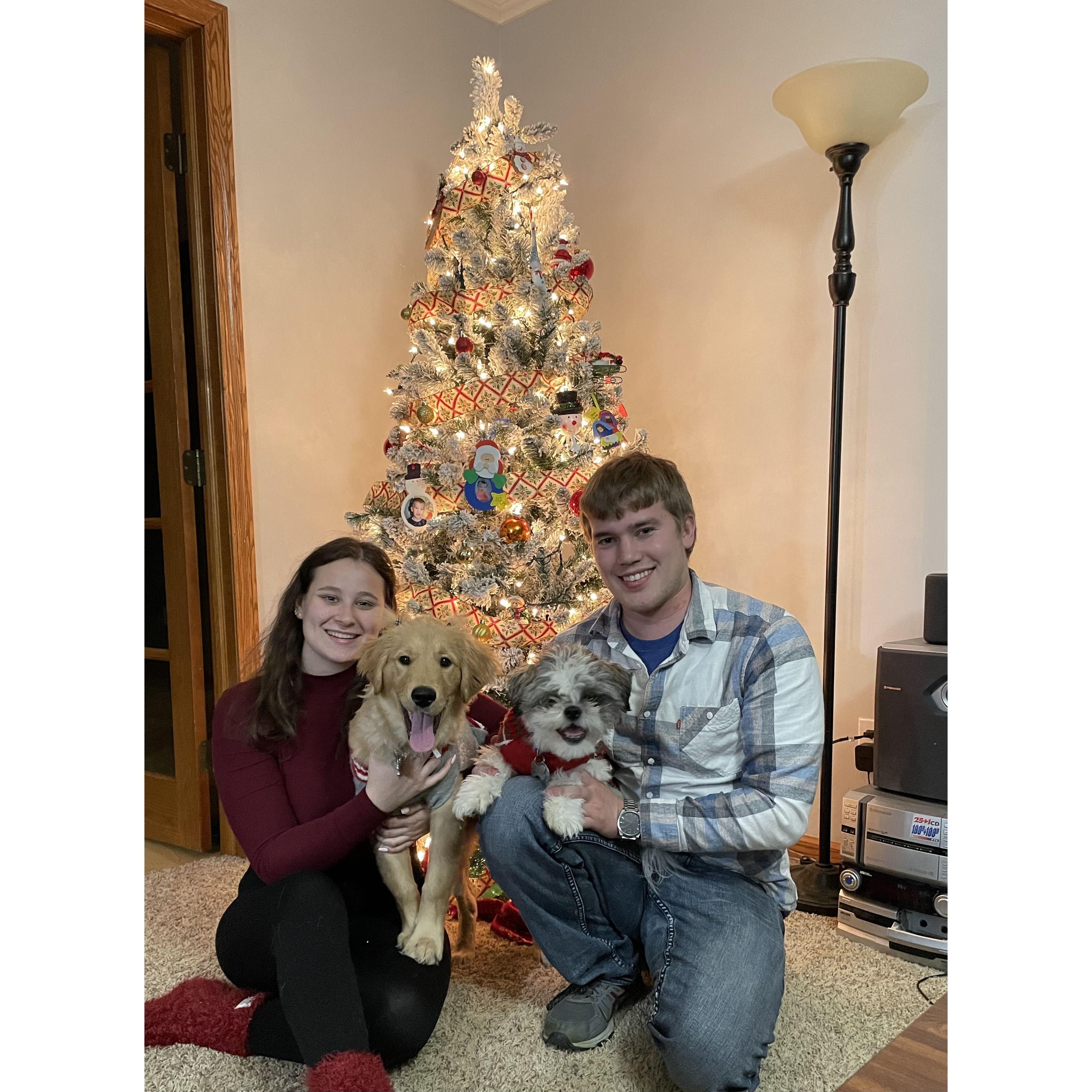 Family Christmas photo!