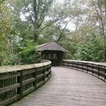 Wildwood Preserve MetroPark