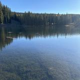 Grand Mesa National Forest