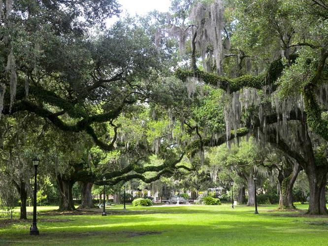 The Wedding Website of Leslie Smith and Josh Sax