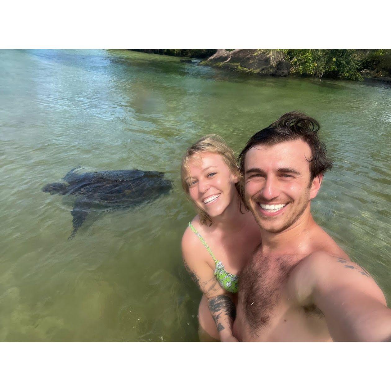 Up close and personal with sea turtles in Hilo Hawaii