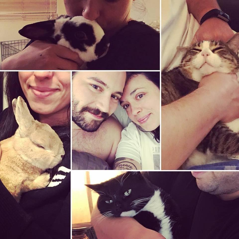 Our fur family! Clockwise from top:
Tuxie (RIP), Thor, Sophie and Cinnamon!