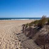 Sandbridge Beach