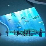 Mote Science Education Aquarium (SEA)