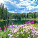 Grand Mesa