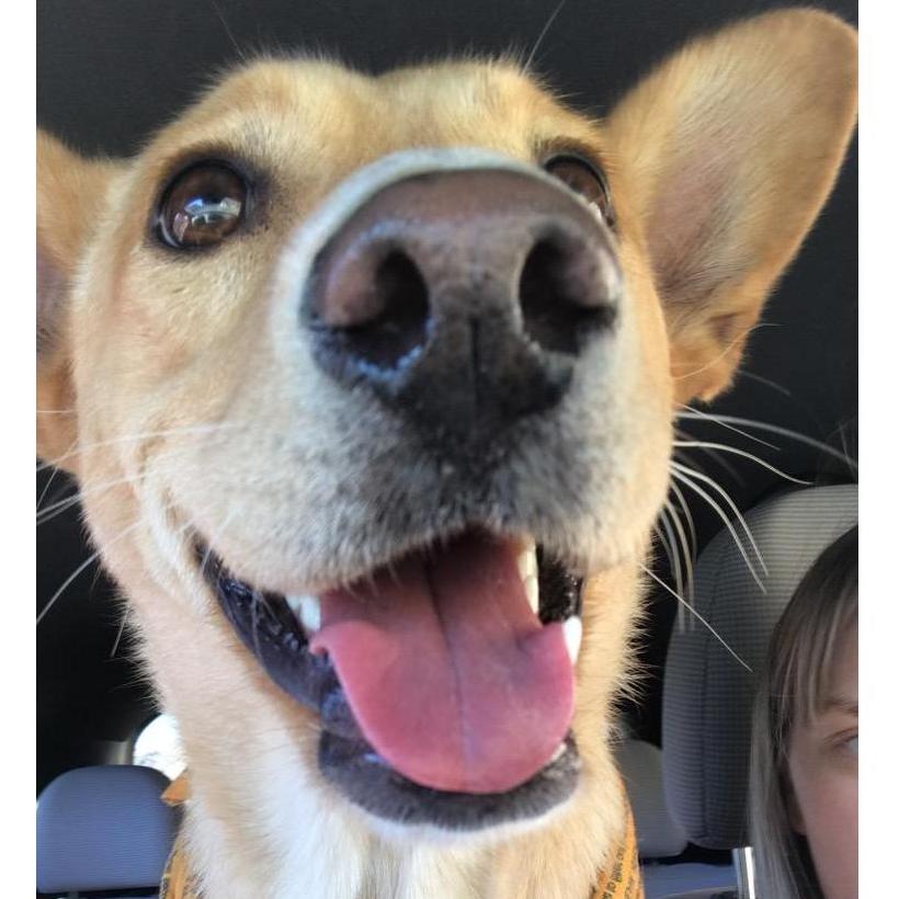 This is Ellie.