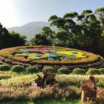 Yangmingshan National Park