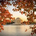 DC