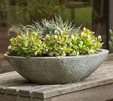Amelie Planter - Pottery Barn