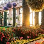 Longwood Gardens
