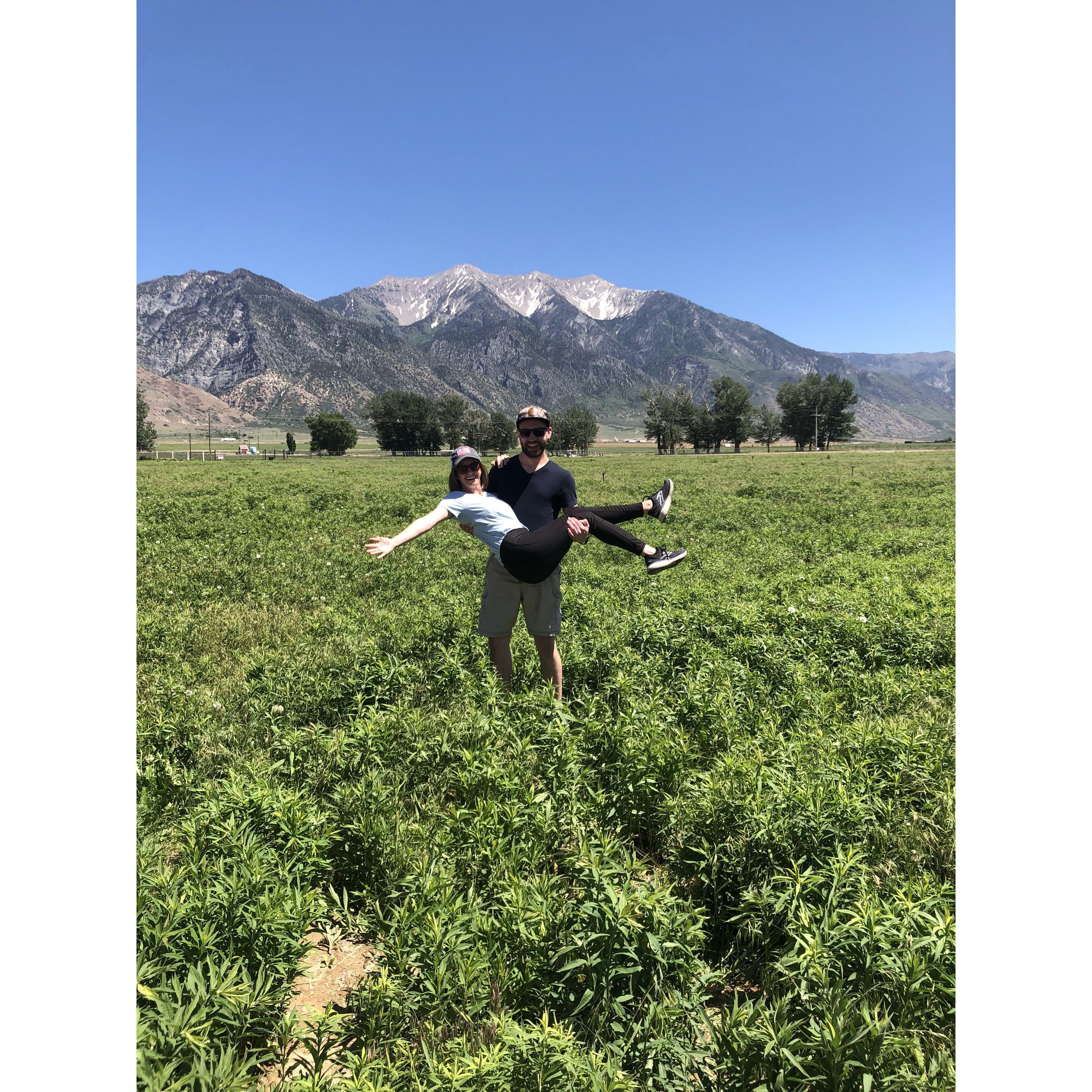 Mona, Utah - Young Living farms!