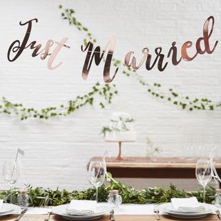 6-Piece Just Married Bunting & Decorative Vine Set