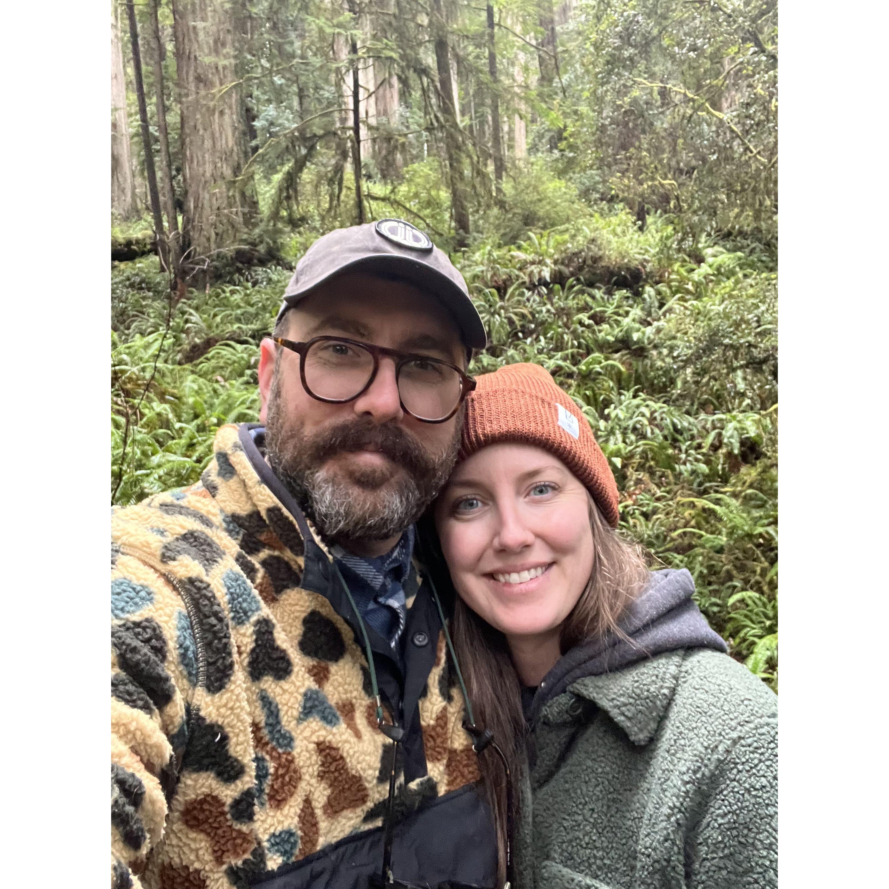 We go to the redwoods in Northern California every year