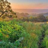 Hitchcock Nature Center