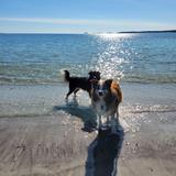 Pemaquid Beach