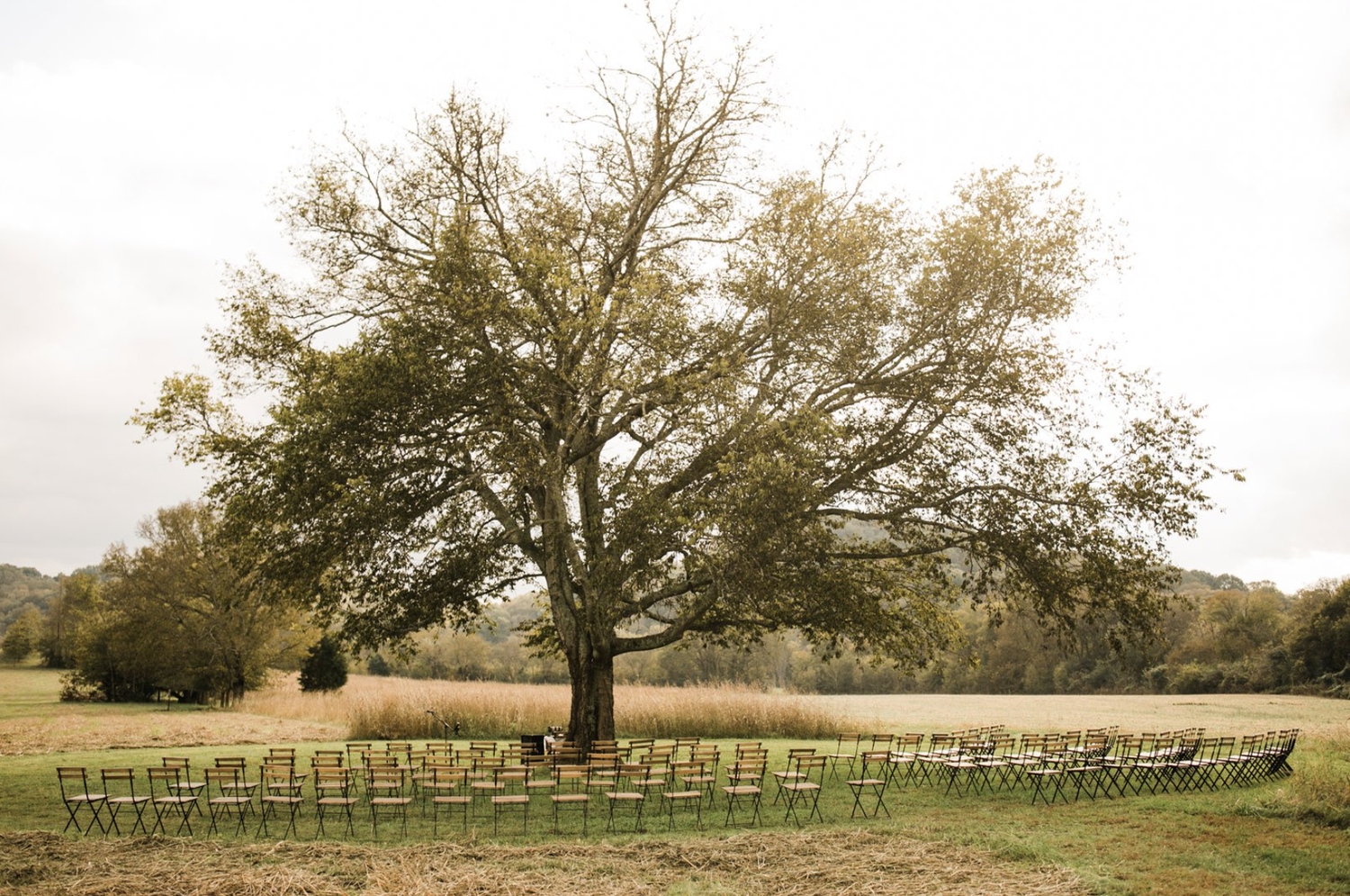 The Wedding Website of Sarah Behm and Caleb Starnes