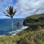 Pololū Valley ⸺ HIKE/ VIEWPOINT