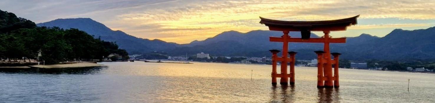 908aeebf-0a87-4a81-aef7-ed96e9dbcdee