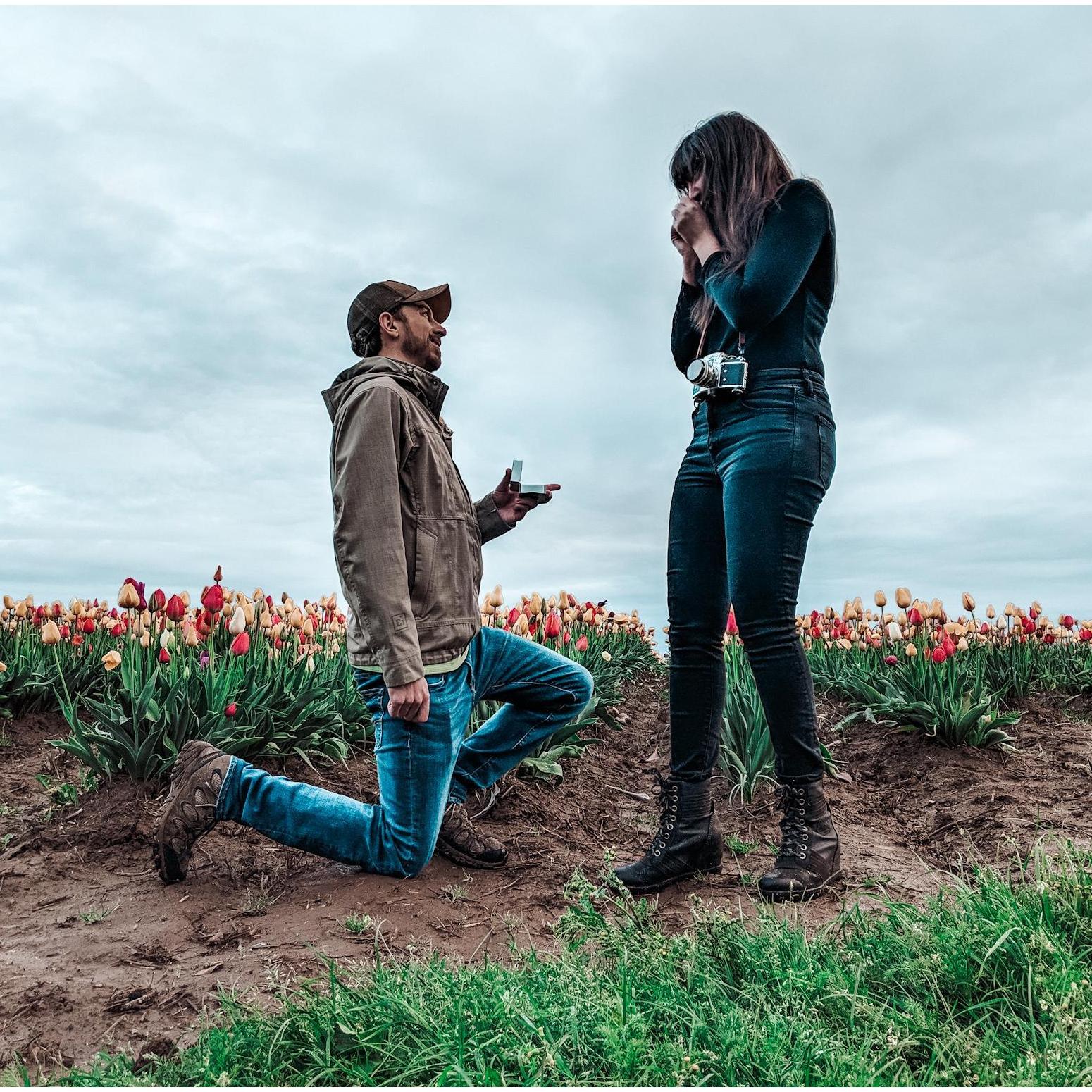 the proposal