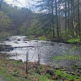 Hikes in Bellefonte