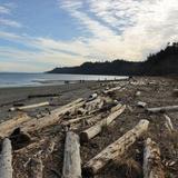 Point No Point beach