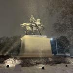 Virginia Museum of Fine Arts