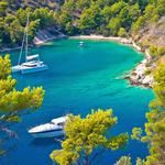 Brač