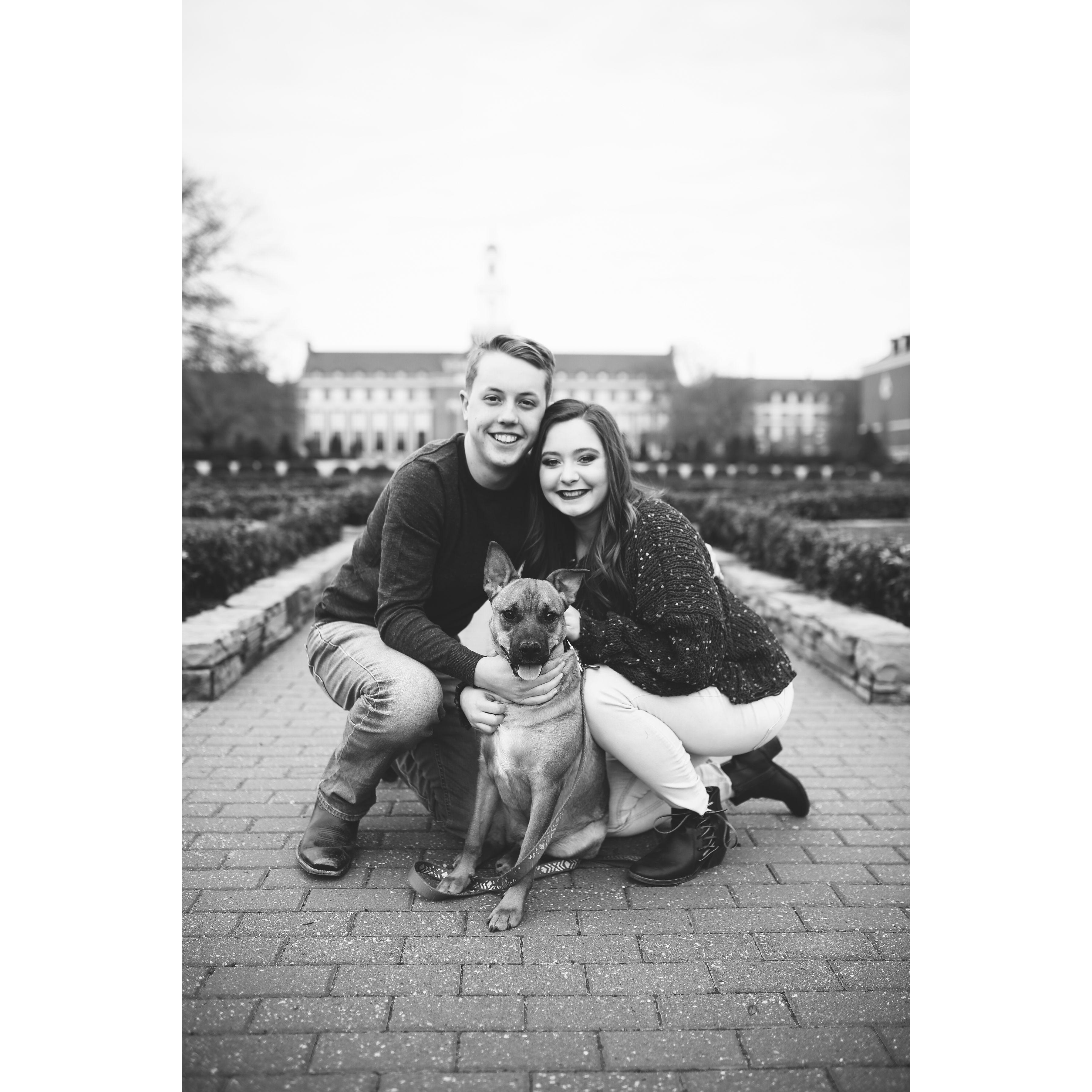 Sweet Cora is our favorite fur baby!