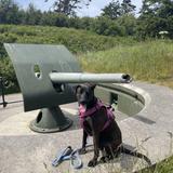 Fort Casey Historical State Park