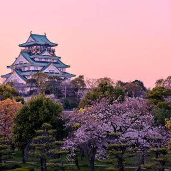 Our Honeymoon Fund - Japan!