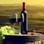 Rocca di Frassinello Winery