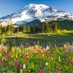 Mount Rainier National Park