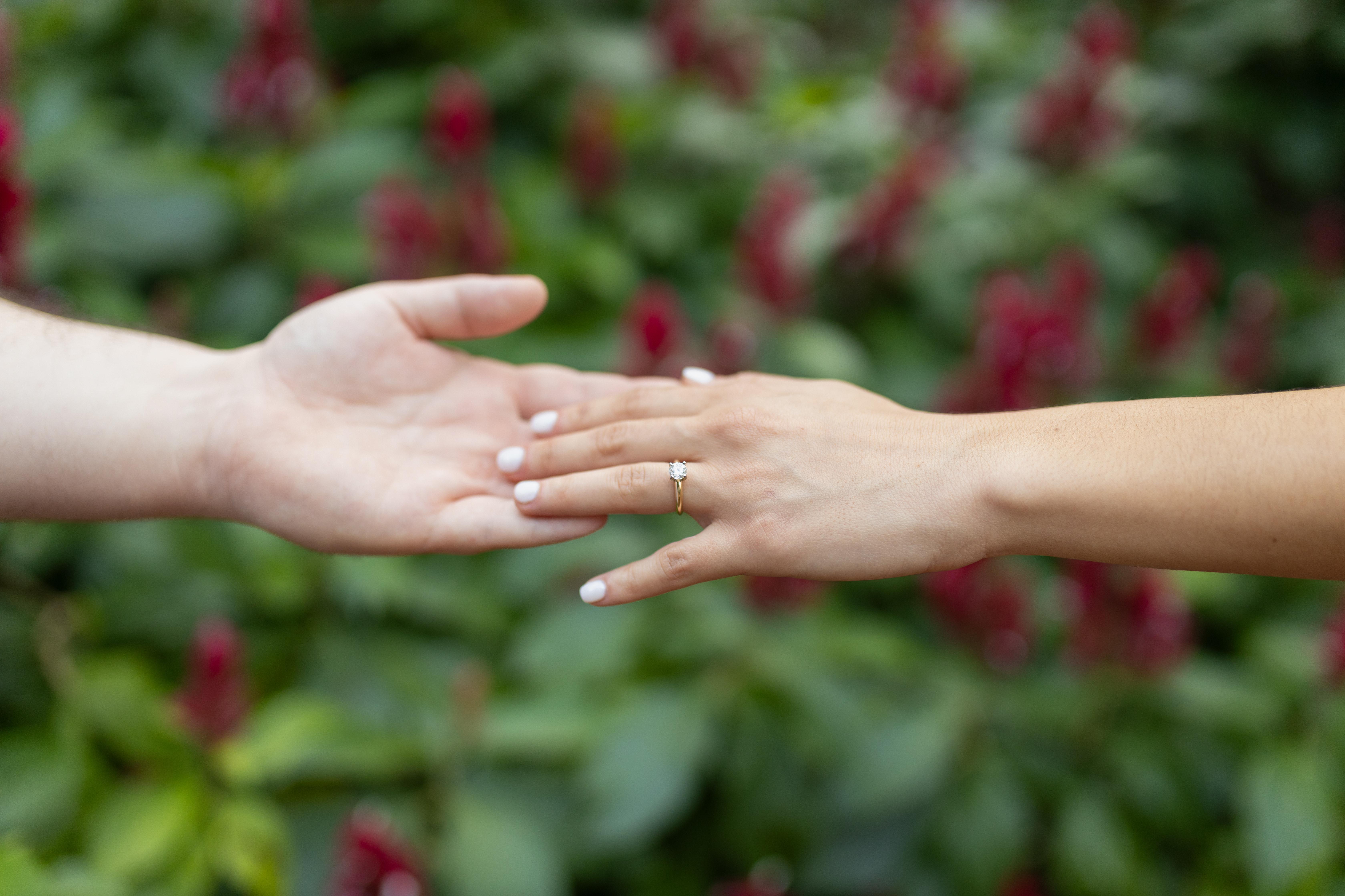 The Wedding Website of Alissa Teijeiro and Daniel Carp