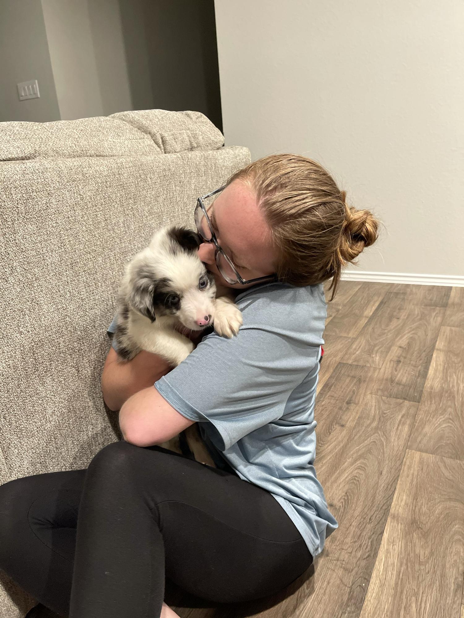 The day we got our fur baby Ollie!