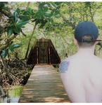 Roatan Island Tour Plus