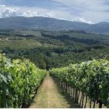 Wine Tasting at Podere Ema