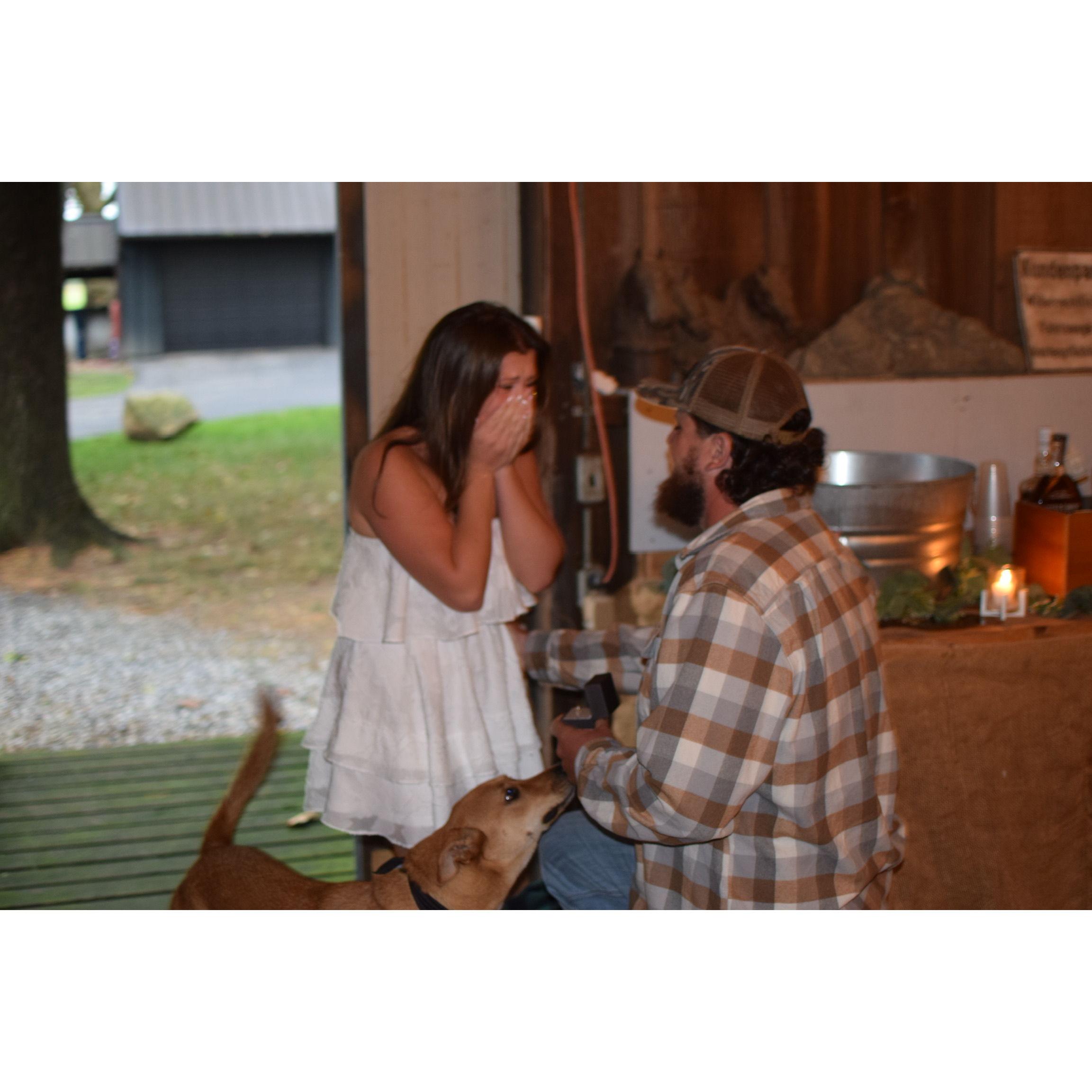 9-23-23-the day she said YES