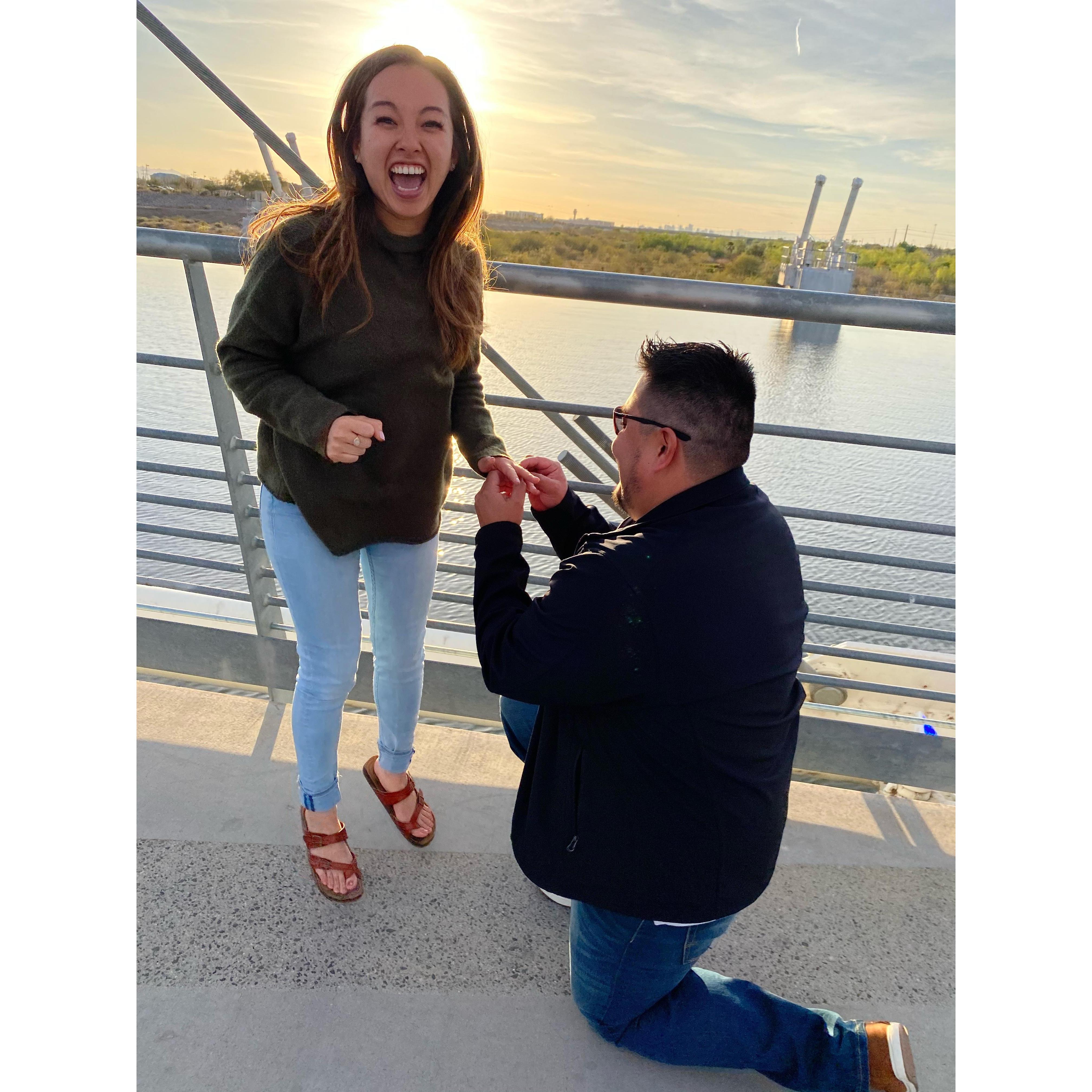 The proposal at Tempe Town Lake.