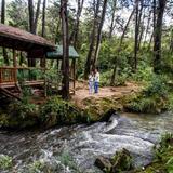 Go for a Hike at Parque Arvi