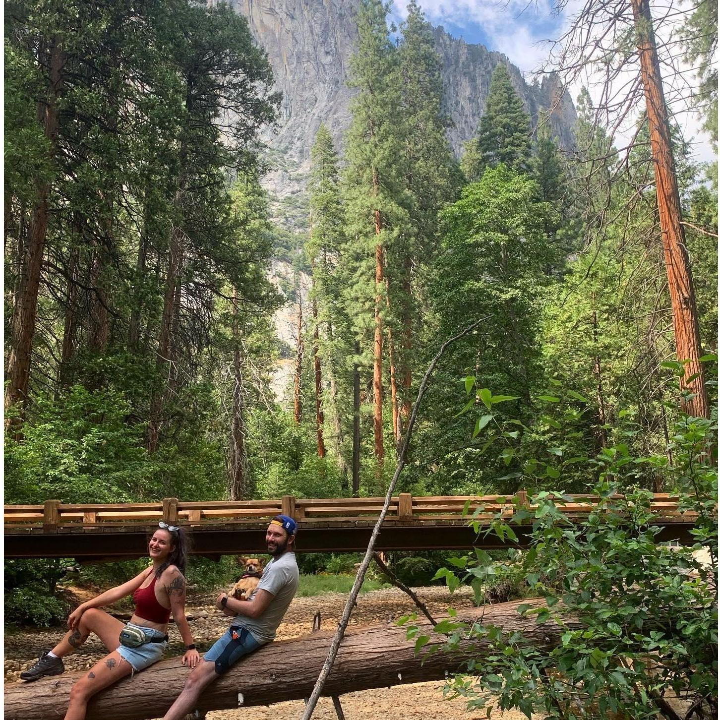 Yosemite for Andrew's 33rd birthday. Proof that he does go outdoors.
July 2020