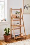 Levy Storage Shelf