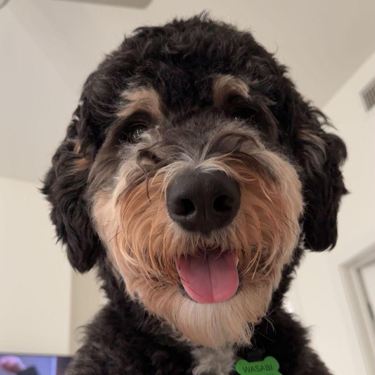 Mom and dad are getting married!!