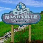 Visit Downtown Nashville, IN.