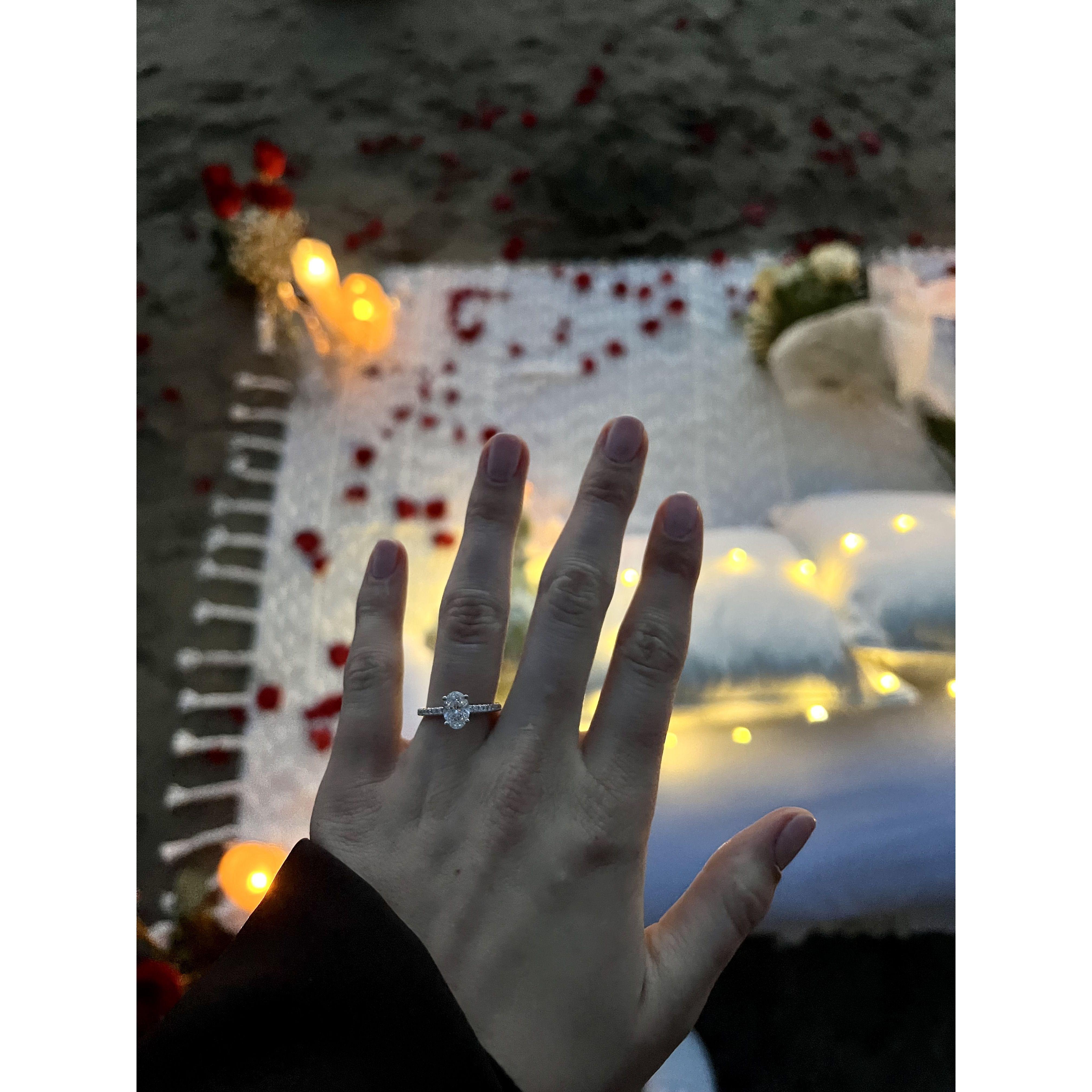 February 2023; The Proposal